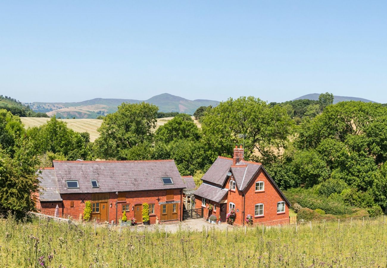 Landhaus in Llangollen - Woodpecker Cottage