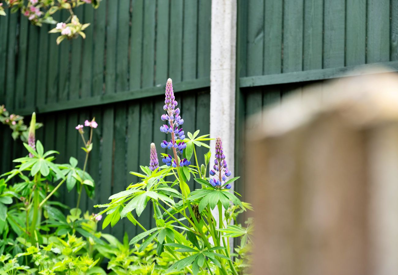 Landhaus in Craven Arms - The Grove Annexe