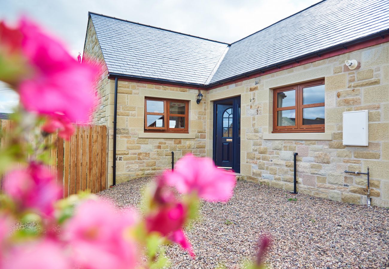 Landhaus in Edlingham - Quail's Nest Cottage