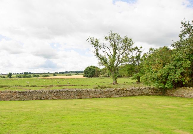 Landhaus in Belsay - The Cottage, Shortflatt Farm