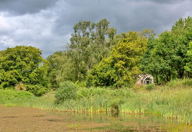 Landhaus in Belsay - The Cottage, Shortflatt Farm