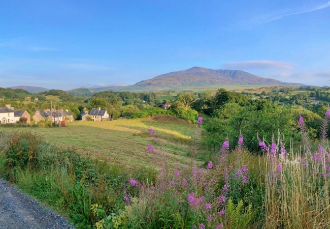 Landhaus in Dolwyddelan - Ty'r Delyn Landhaus in Dolwyddelan - Ty'r Delyn