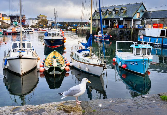 Landhaus in Mevagissey - Old Harbour Cottage