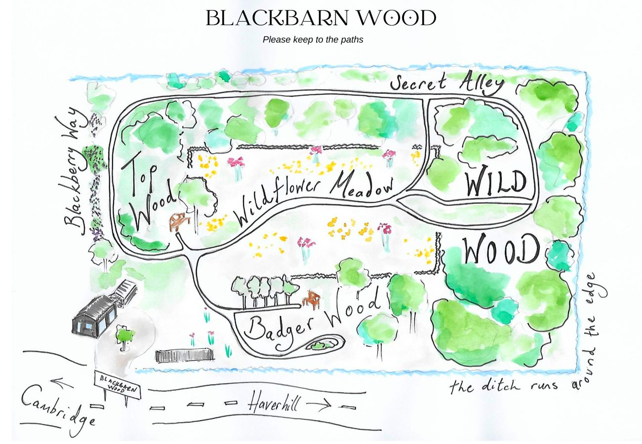 Landhaus in Balsham - Blackbarn Wood