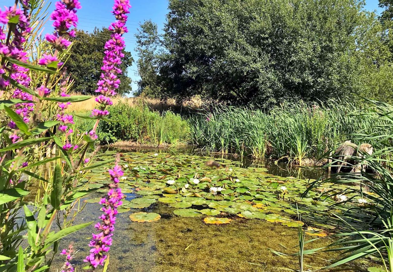 Chalet in Swannington - Bulrush Bell Tent