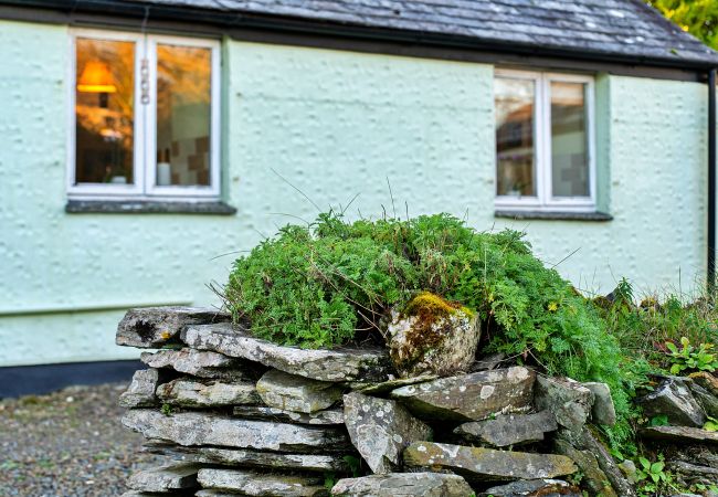 Studio in Boscastle - Jenny Wren Studio in Boscastle - Jenny Wren