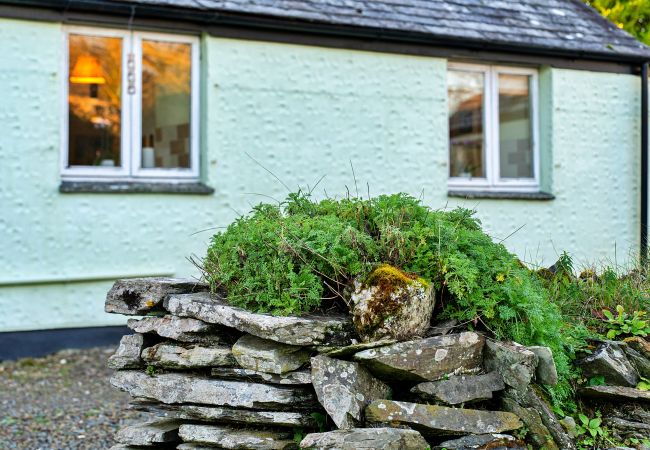 Studio in Boscastle - Jenny Wren