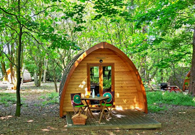 Chalet in Bury St Edmunds - Wulfrun Pod