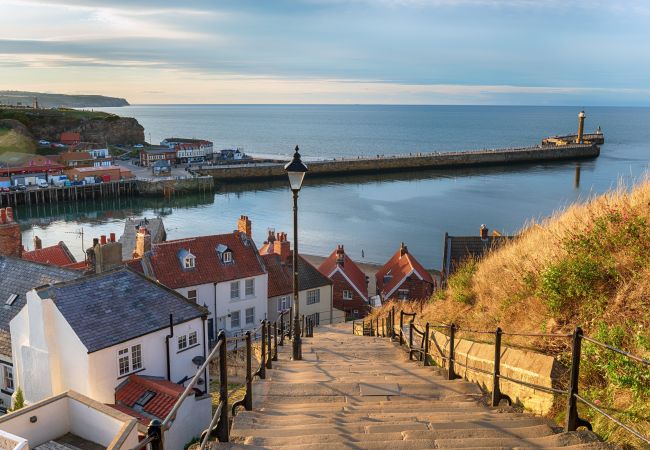 Landhaus in Whitby - Albion Cottage