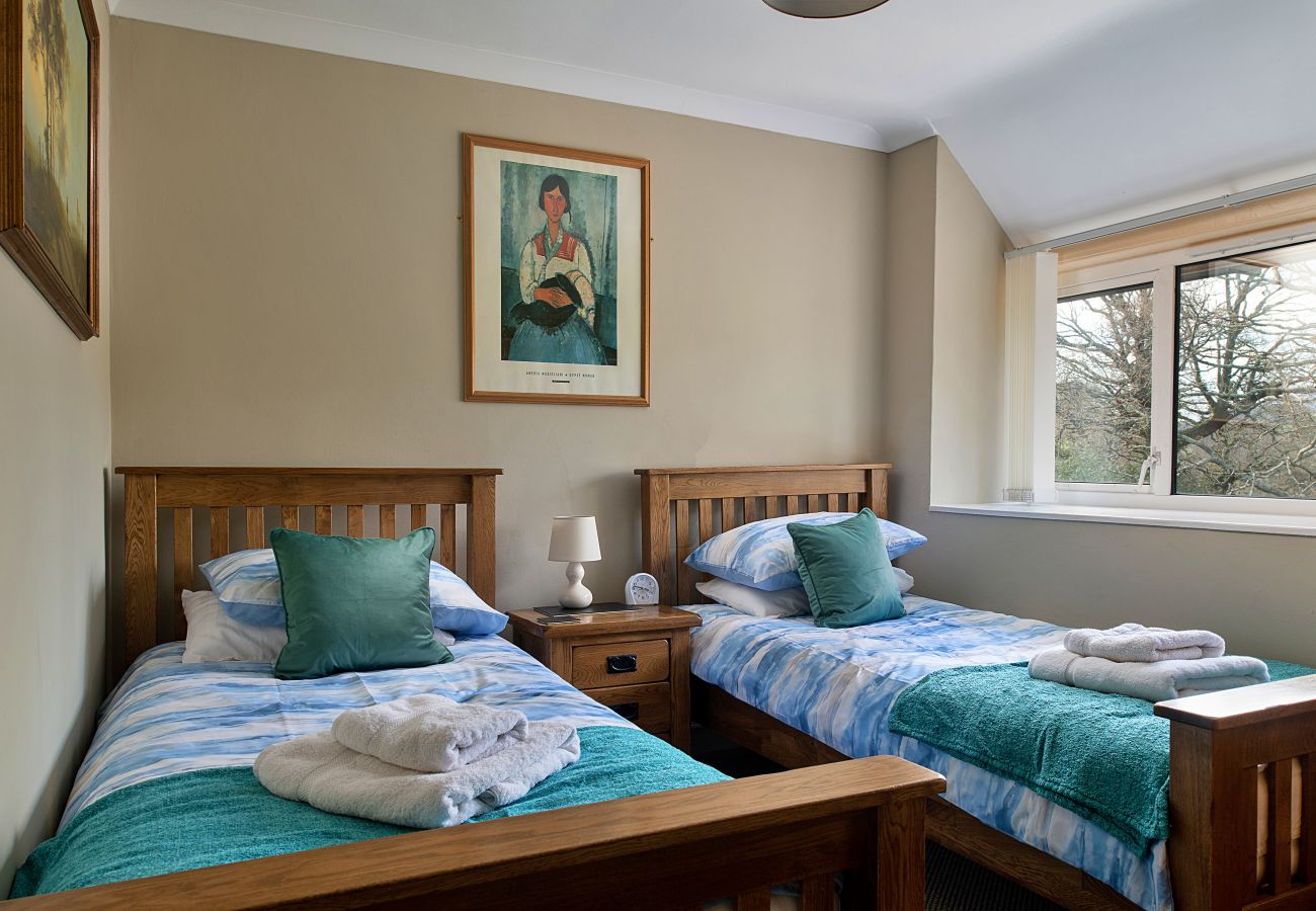 Ferienhaus in Dolgellau - Felin Ship