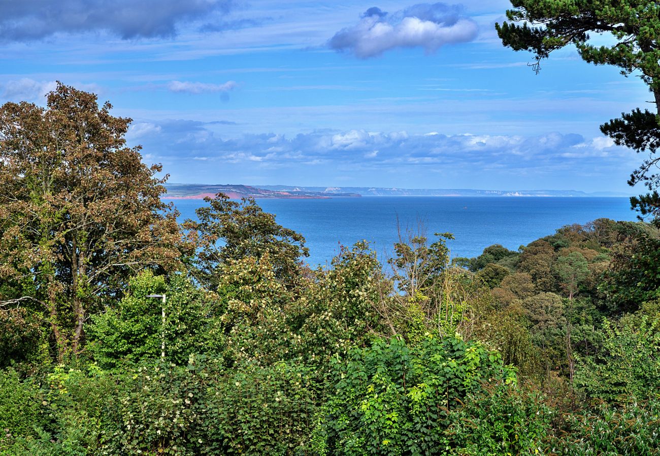 Landhaus in Shaldon - The View