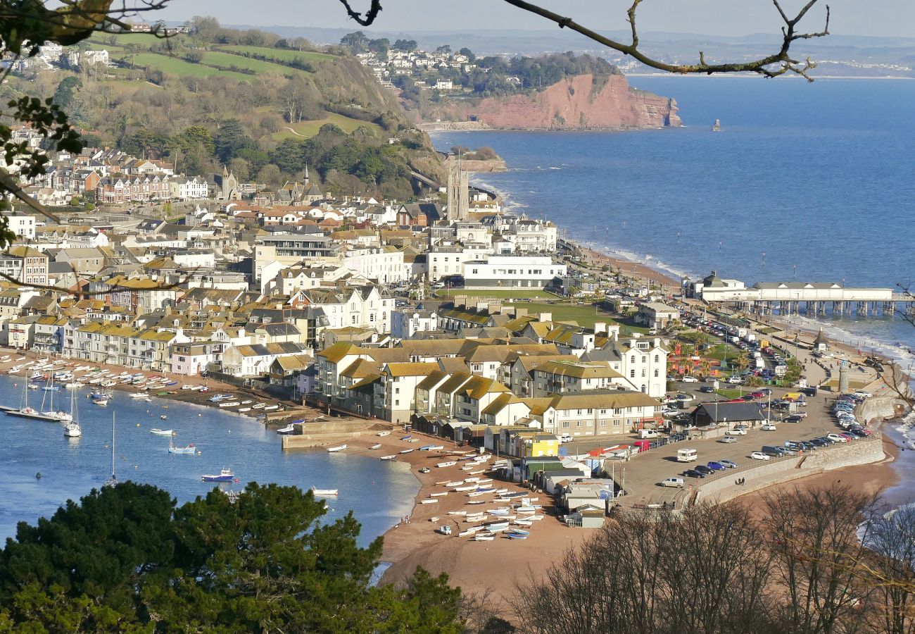 Landhaus in Shaldon - The View