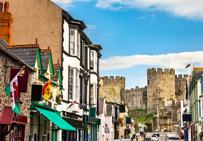 Landhaus in Conwy - Hen Dafarn