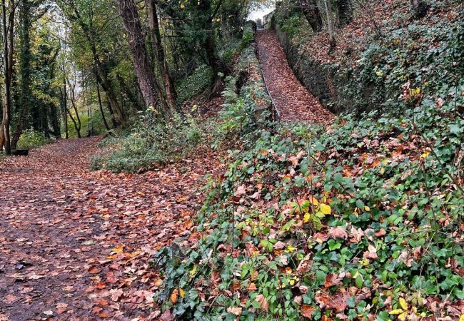 Landhaus in New Mills - Suzy's Cottage Landhaus in New Mills - Suzy's Cottage