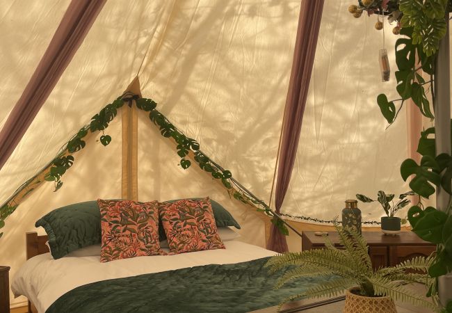 Chalet in Woolton Hill - Jungle Bell Tent Chalet in Woolton Hill - Jungle Bell Tent