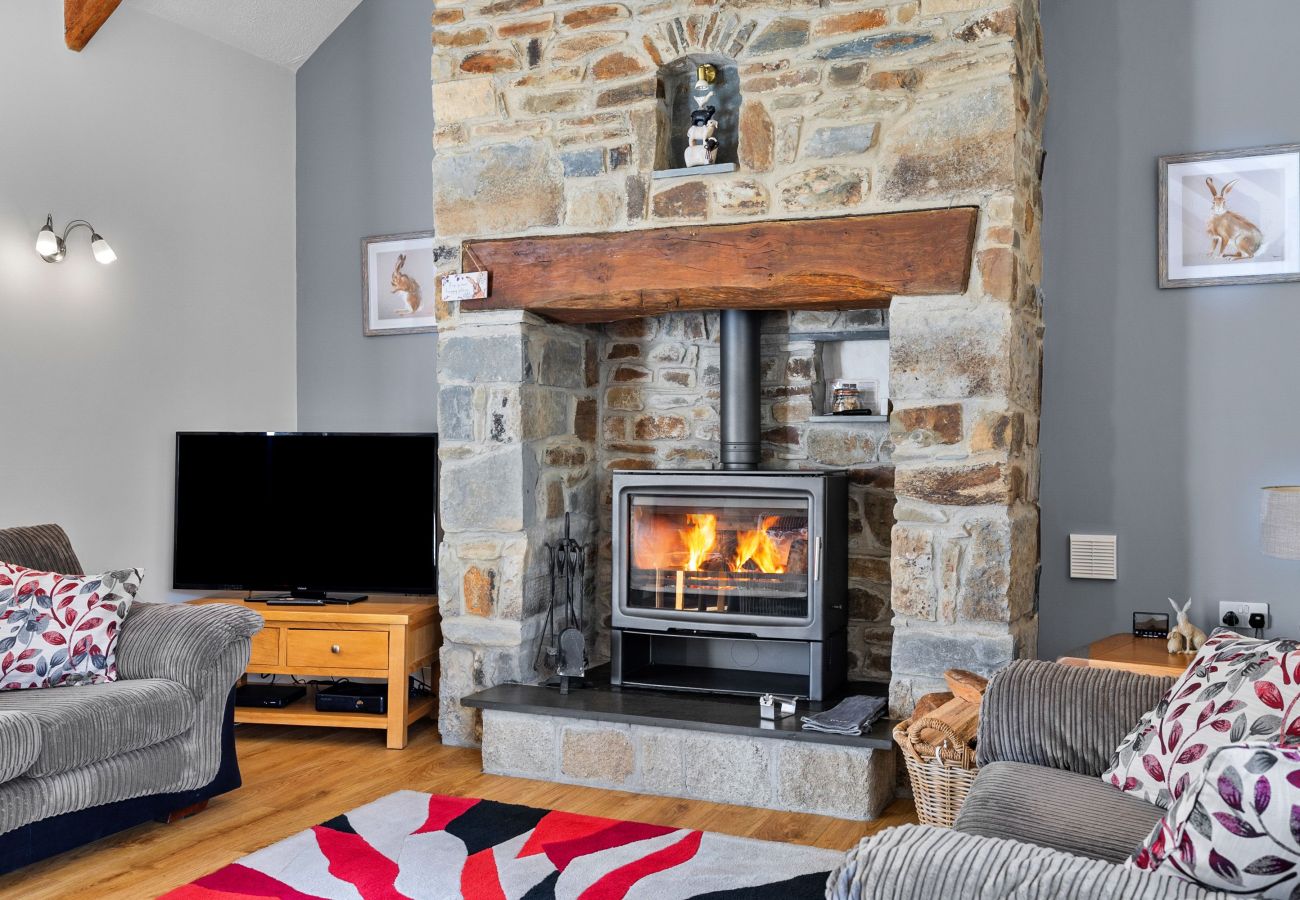 Landhaus in Bradworthy - Old Mill