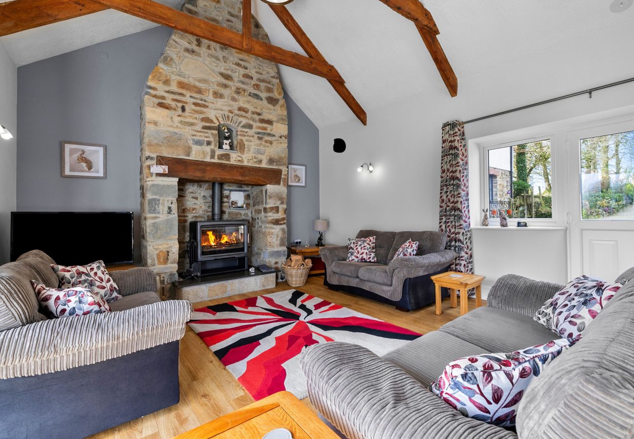 Landhaus in Bradworthy - Old Mill