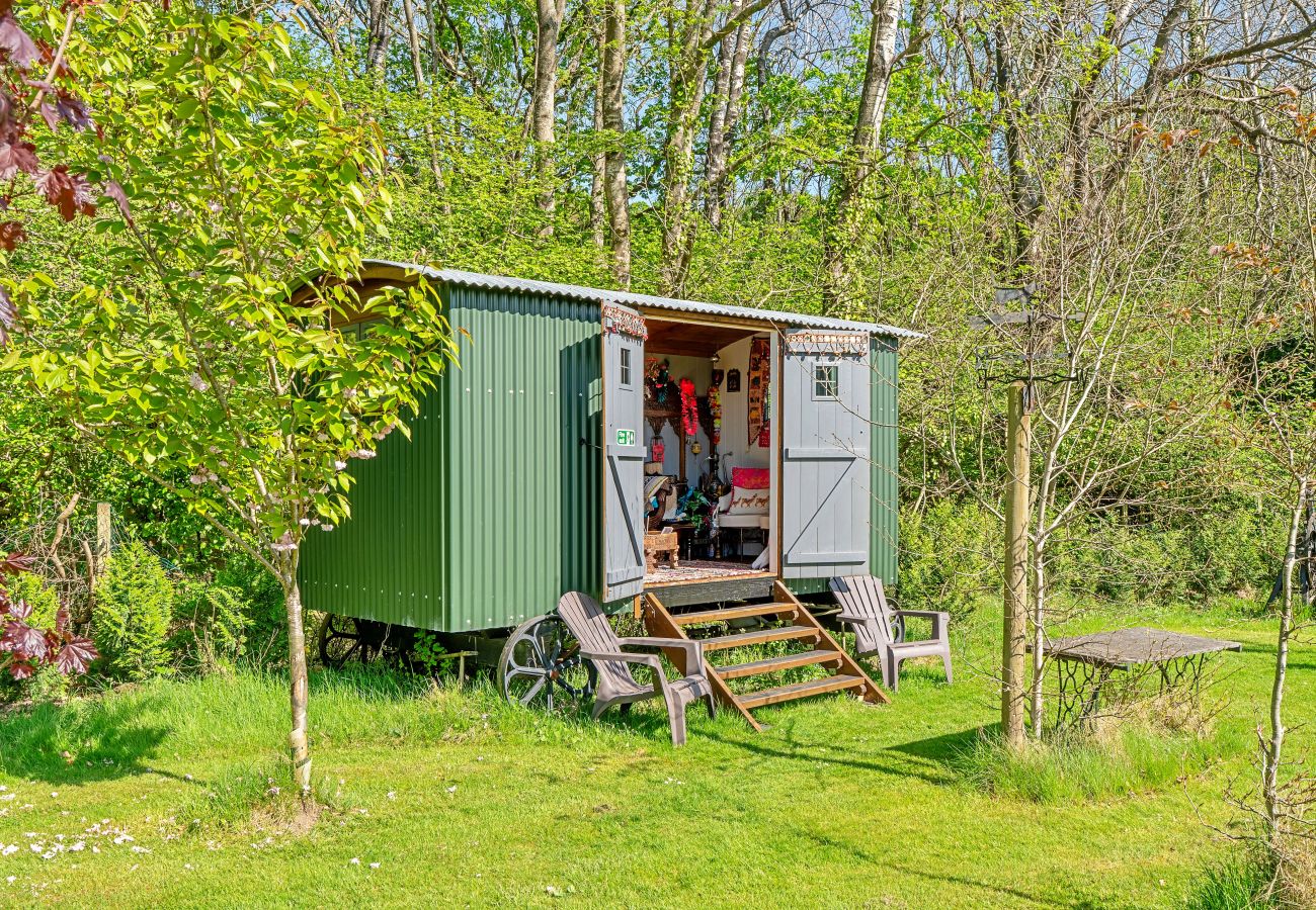 Chalet in Romsey - Shepherd's Hut at Hilltop Farm