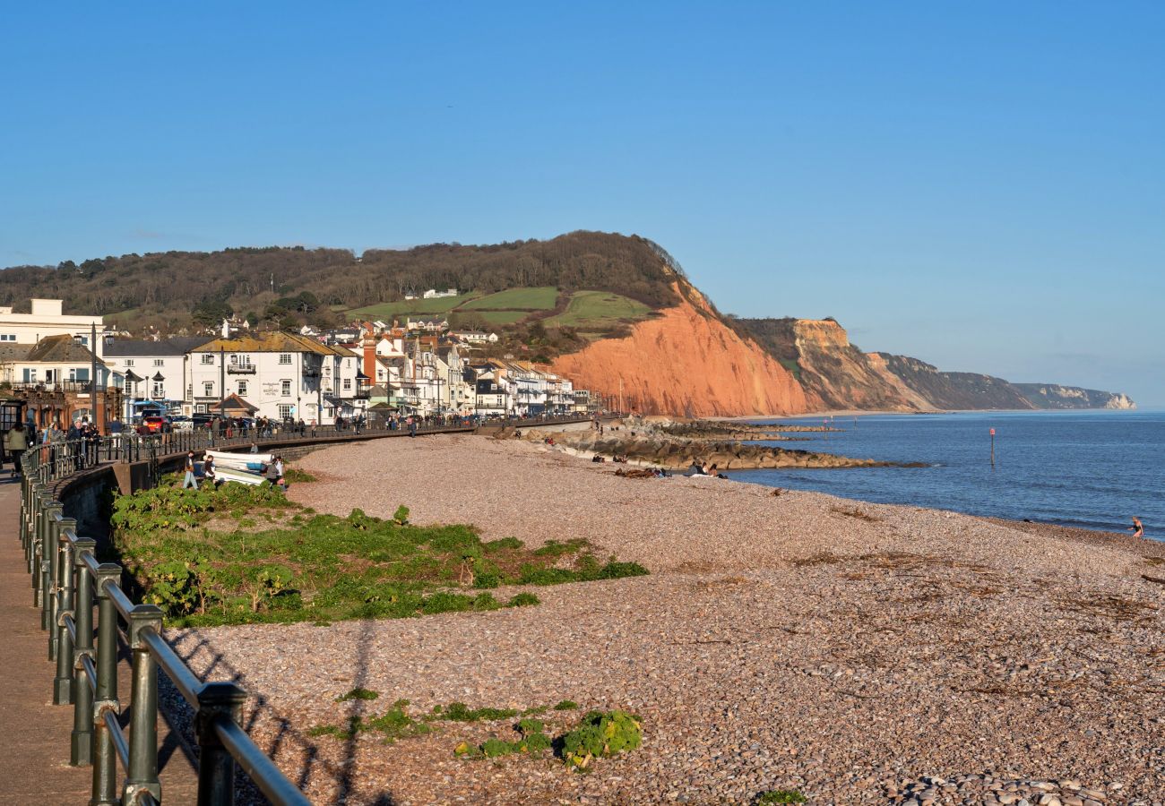 Ferienwohnung in Sidmouth - Centre View