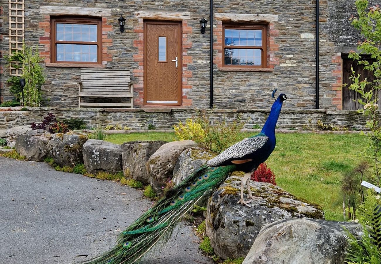 Landhaus in Brecon - Coygen Cottage