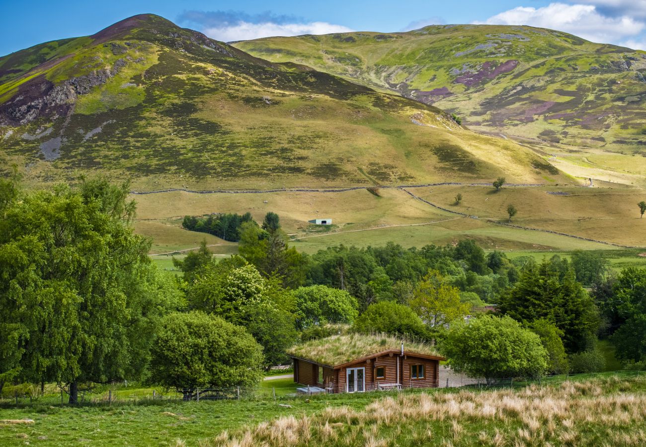 Blockhütte in Glenshee - Cragdhu Log Cabin