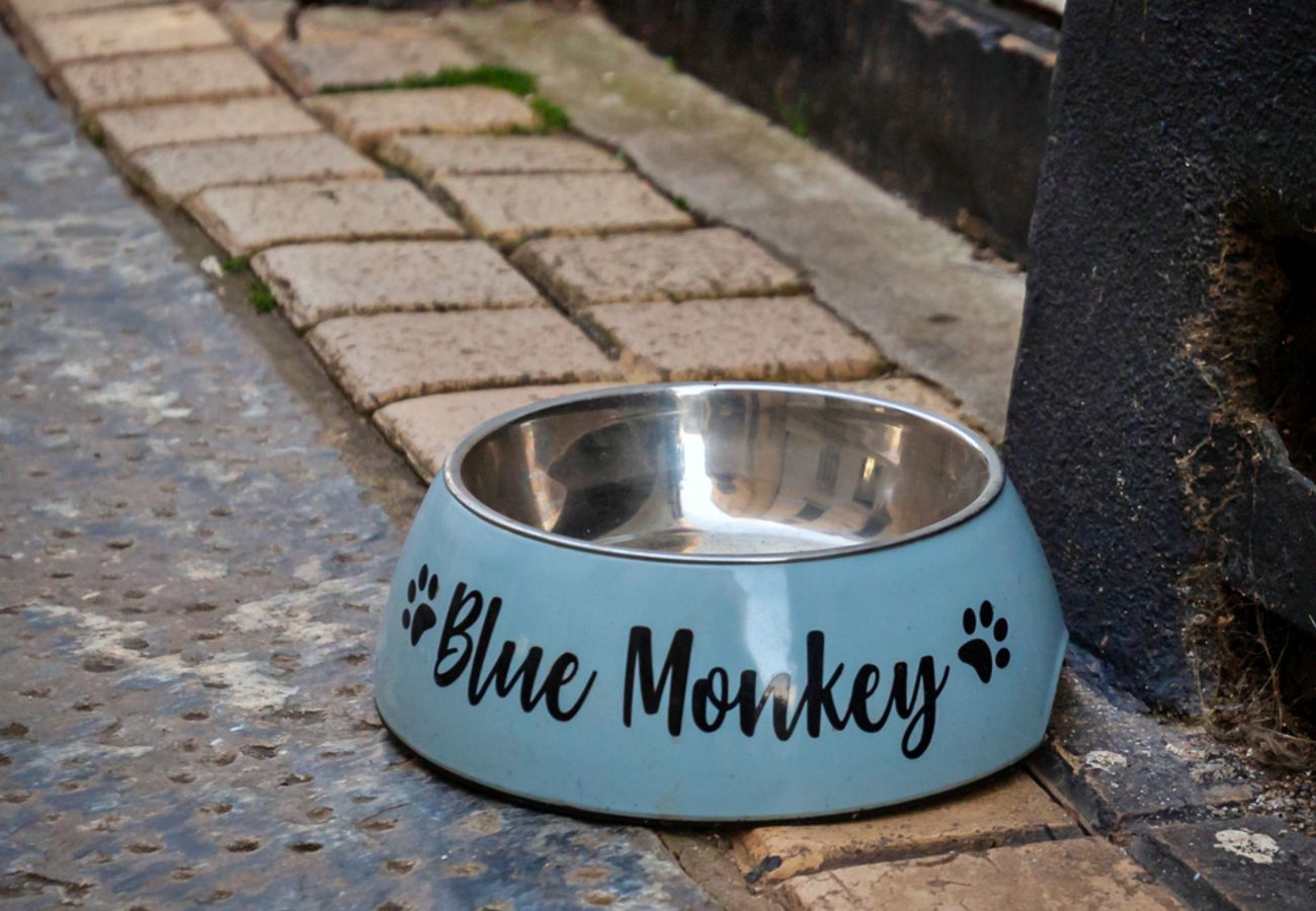 Ferienhaus in Cawsand - Blue Monkey