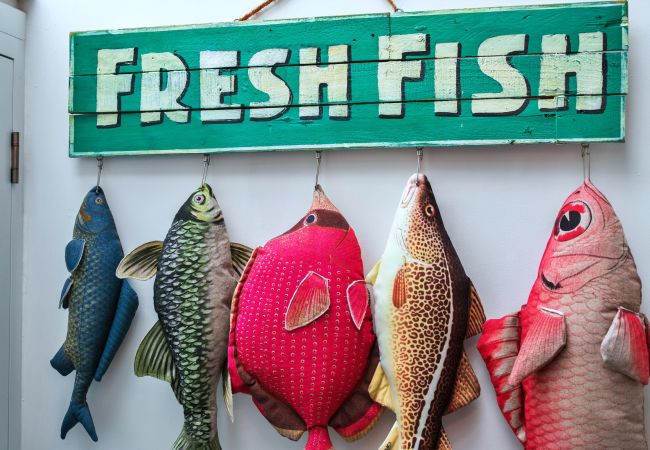 Ferienhaus in Kingsand - Sunnyside Ferienhaus in Kingsand - Sunnyside