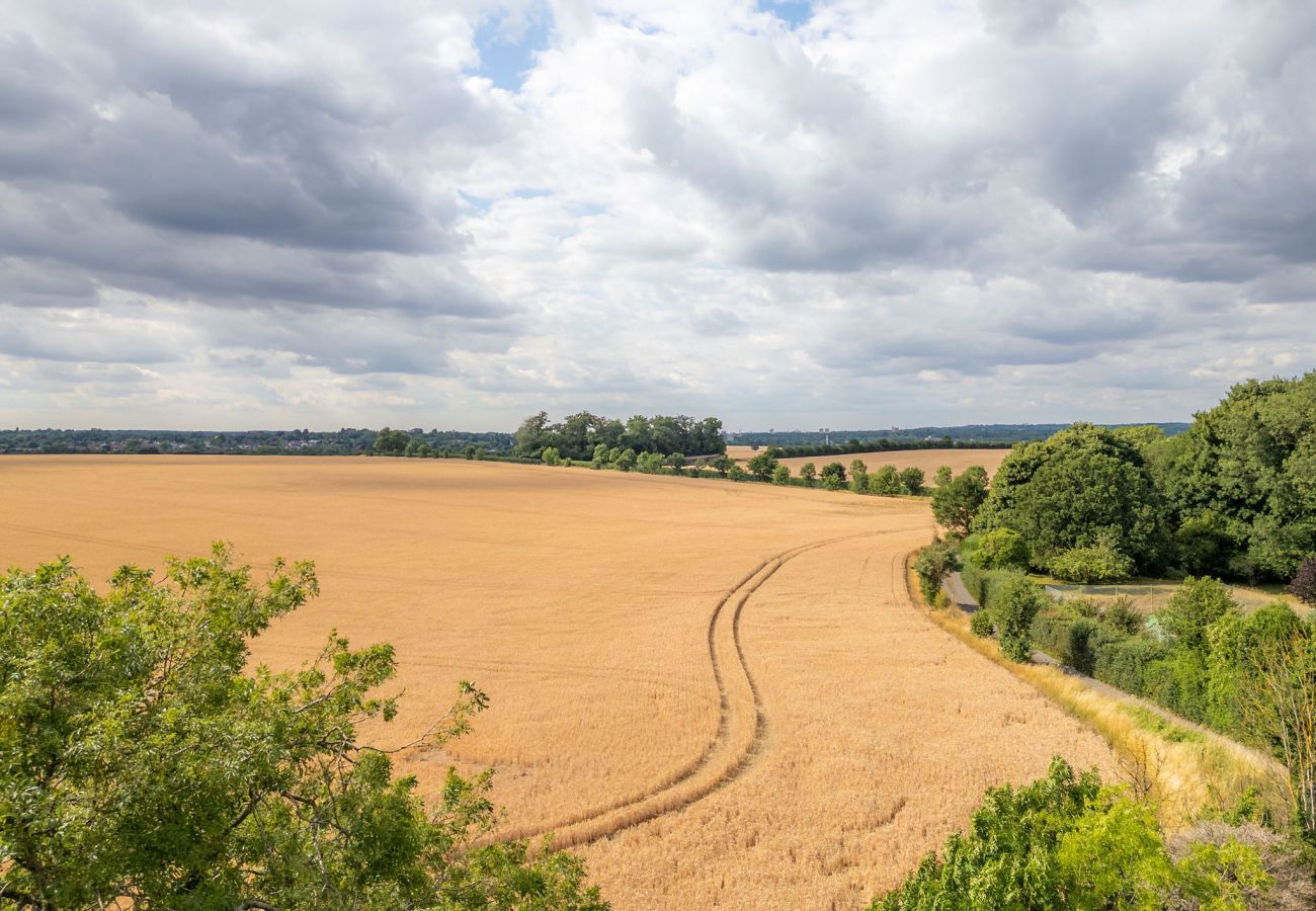 Studio in Knebworth - Hollybush Studio