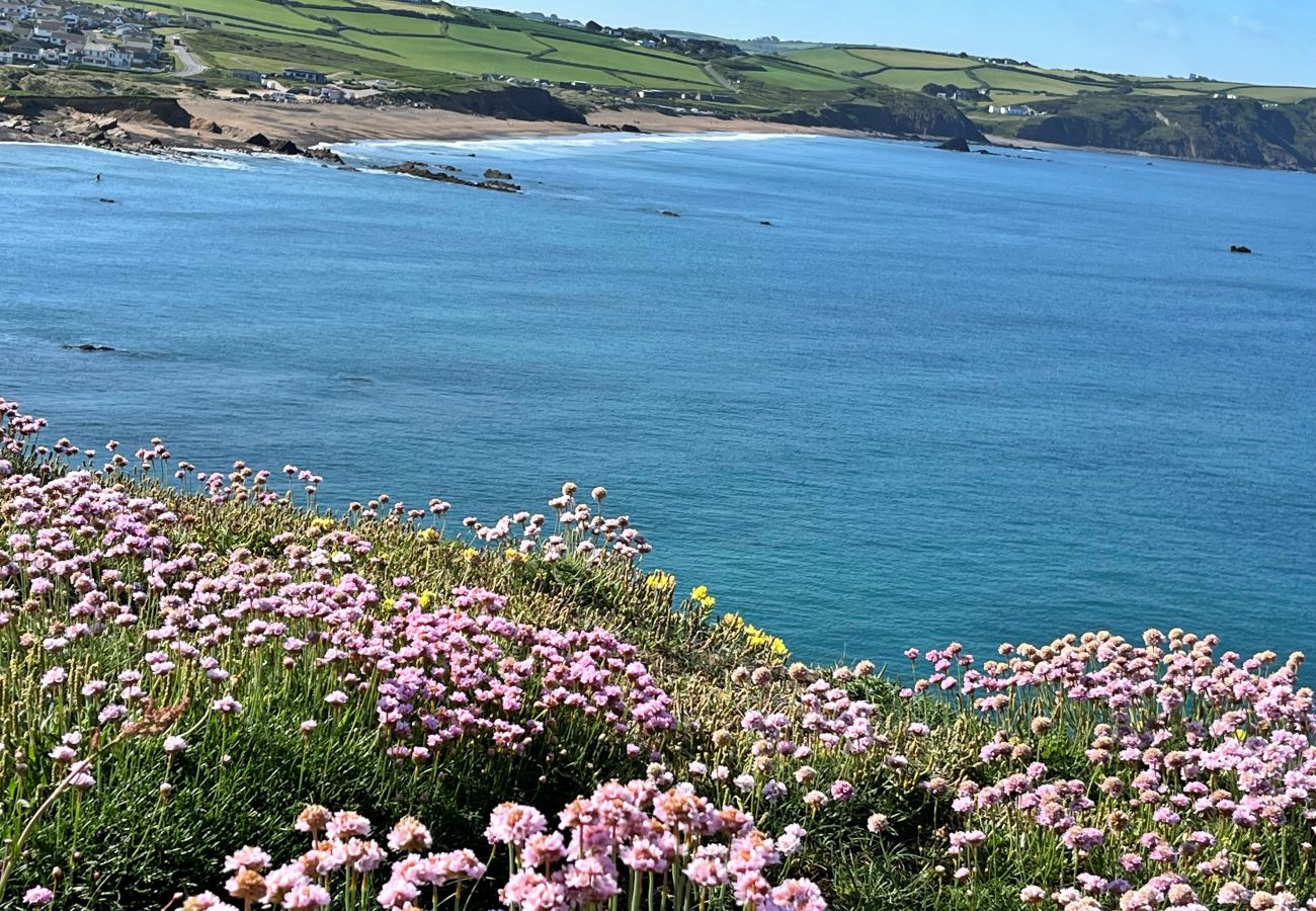 Bungalow in Widemouth Bay - Sea Thrift