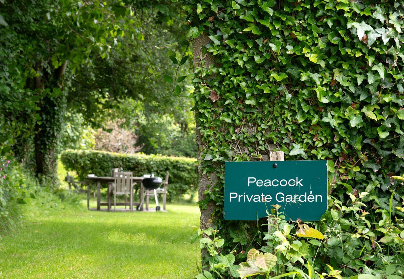 Landhaus in Combe Martin - Coulscott Peacock Cottage