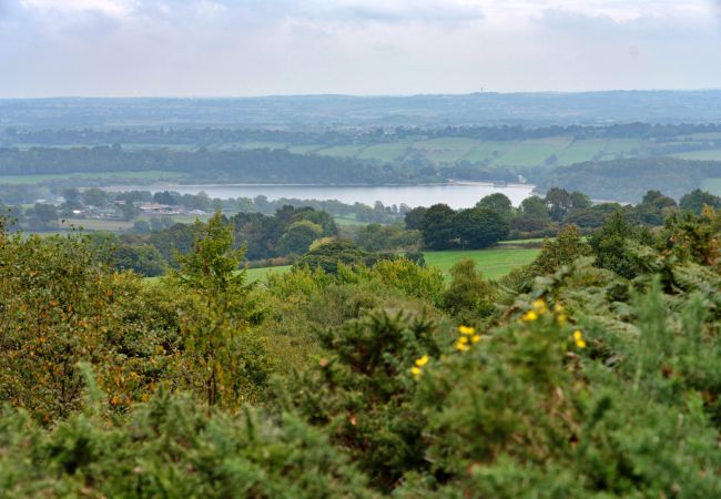 Landhaus in Ashover - Rough Close Farm Cottage Landhaus in Ashover - Rough Close Farm Cottage
