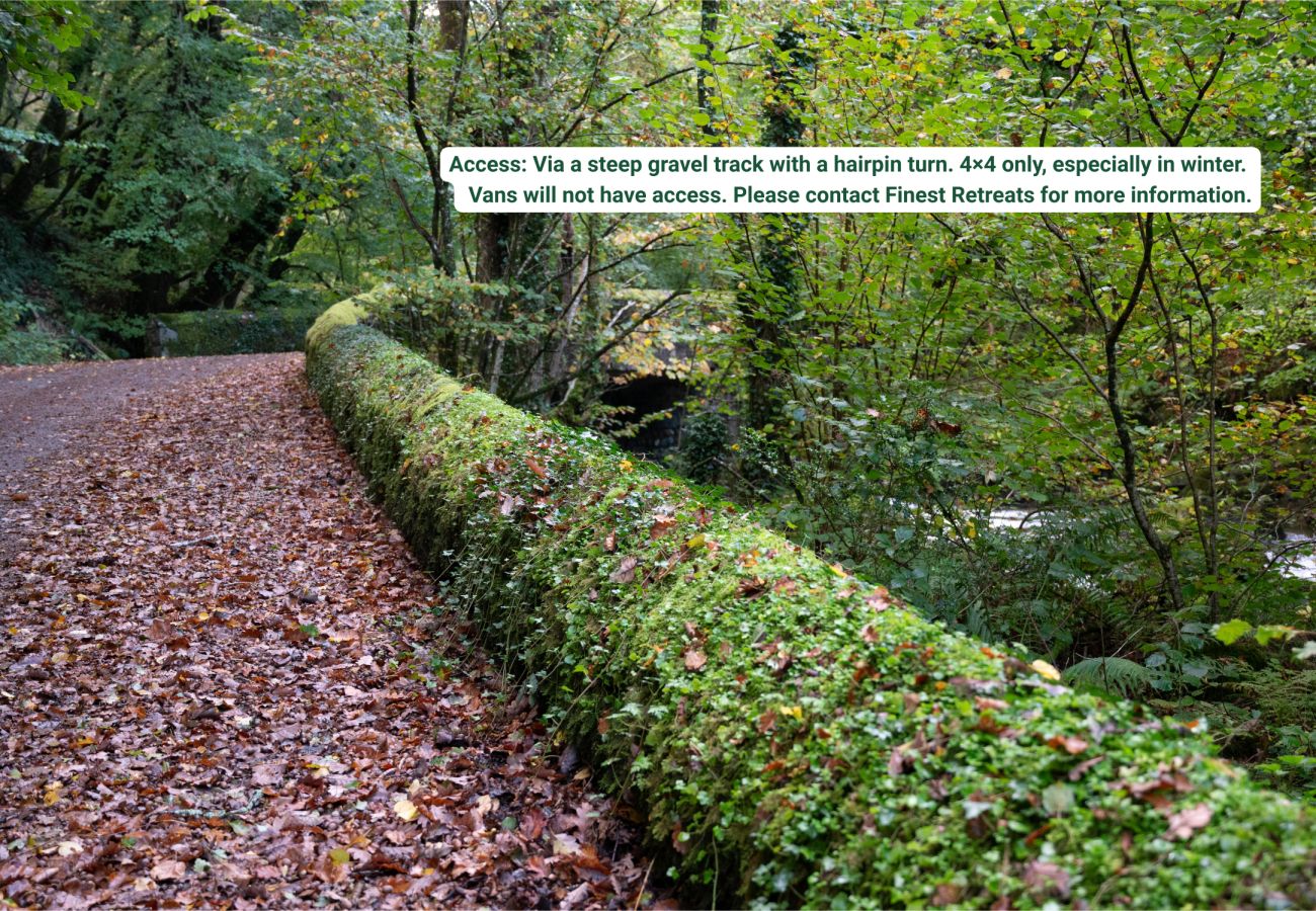 Chalet in Dolgellau - Pandy Traditional Yurt