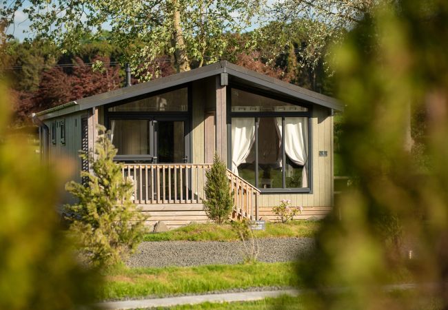 Chalet in Errol - Silverwood Hideaway Lodge