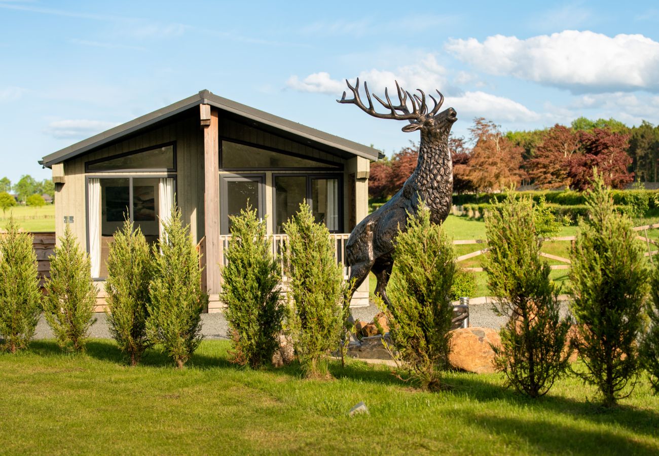 Chalet in Errol - Silverwood Hideaway Lodge