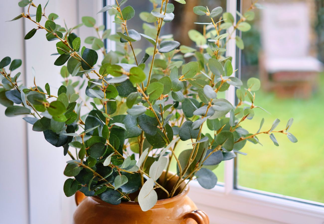 Landhaus in Nancledra - Mill Stone Cottage