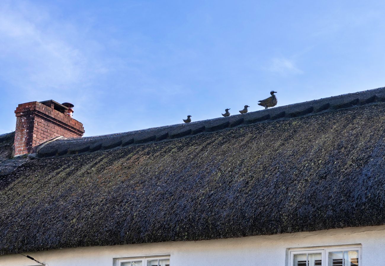 Landhaus in High Bickington - The Cottage at High Bickington