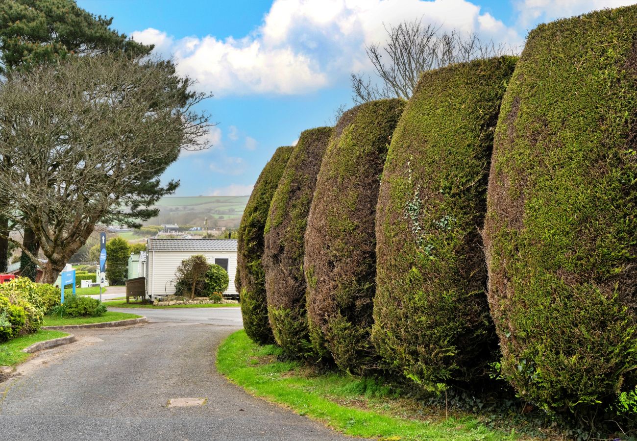 Chalet in White Cross - Pine Forest Lodge