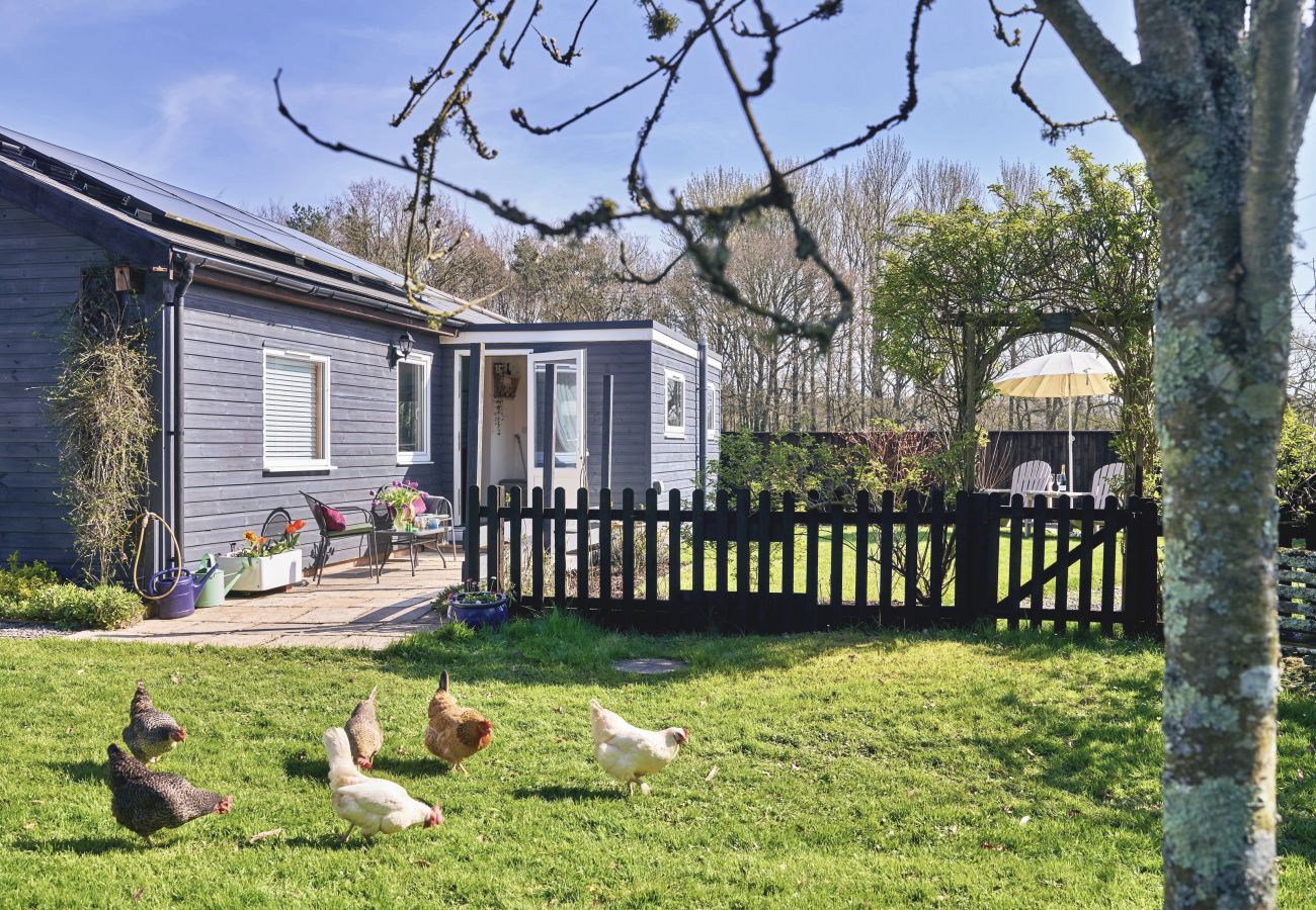 Bungalow in Broadclyst - Snuggery