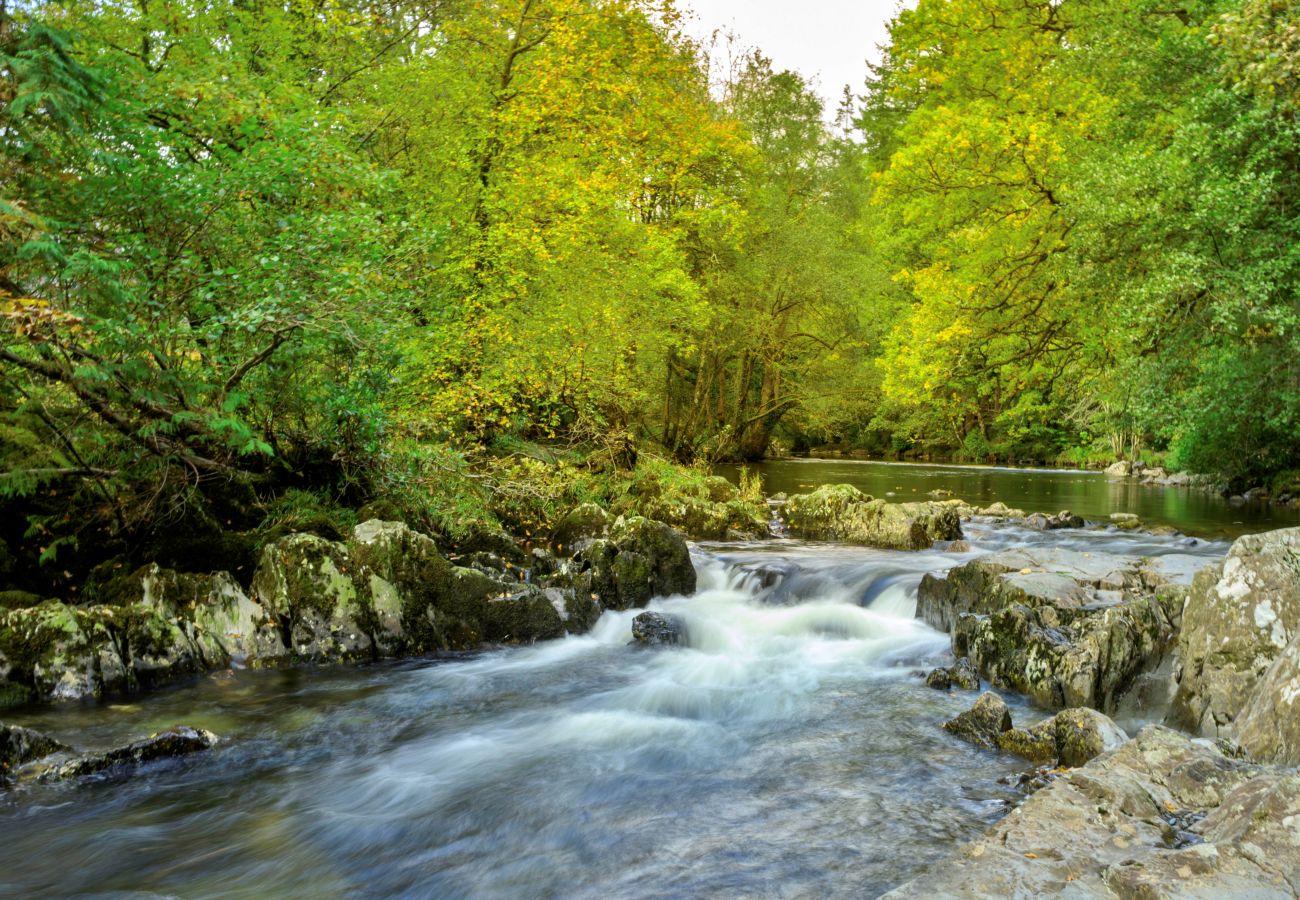 Ferienhaus in Betws-Y-Coed - Dyffryn