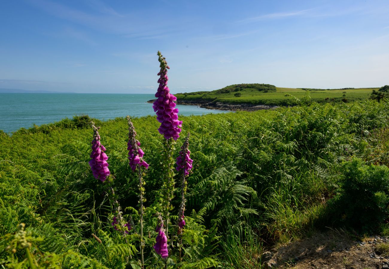 Bungalow in Pwllheli - Ty Glan Y Mor