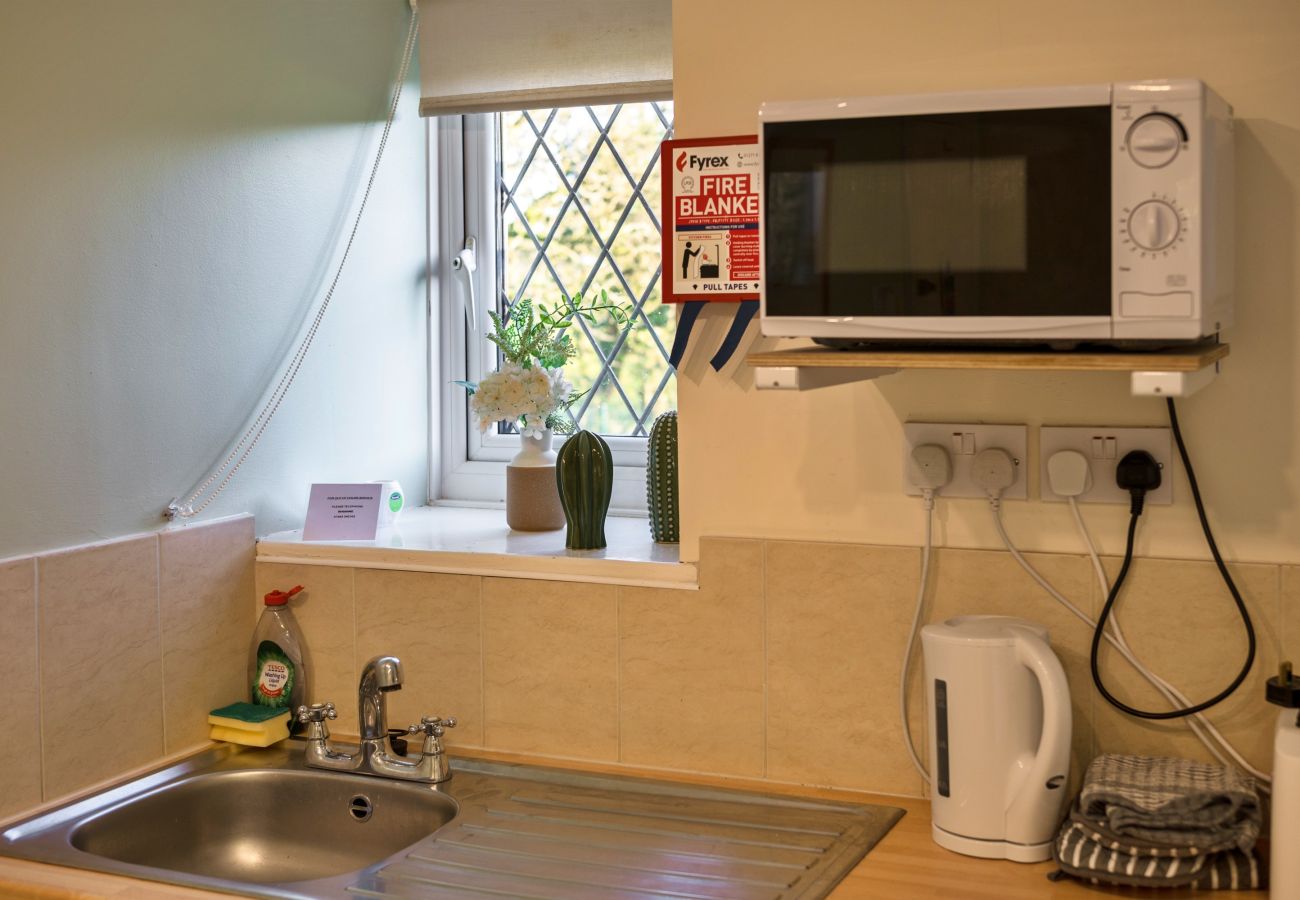 Landhaus in Woolacombe - Trimstone Manor - Lee, Studio Apartment