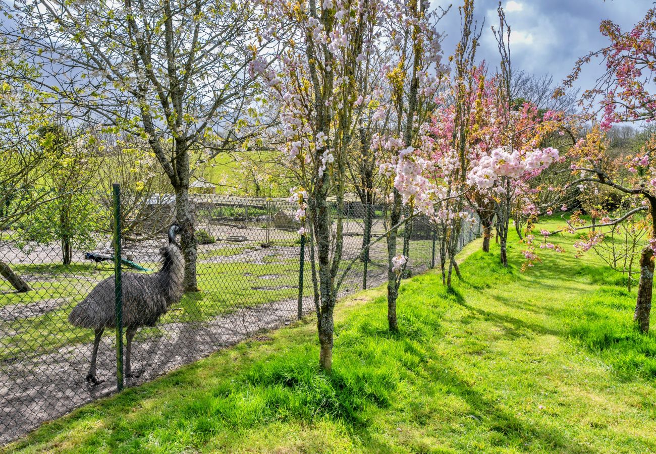 Landhaus in Woolacombe - Trimstone Manor - Lee, Studio Apartment