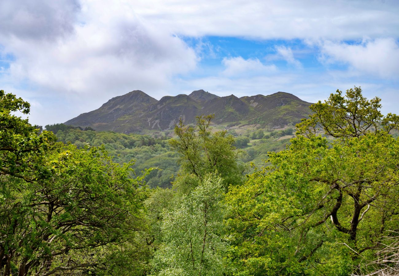 Landhaus in Dolgellau - Y Cwtch