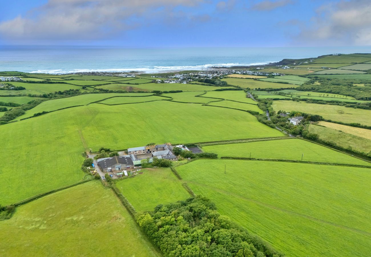 Landhaus in Widemouth Bay - Goose, Quinceborough Farm