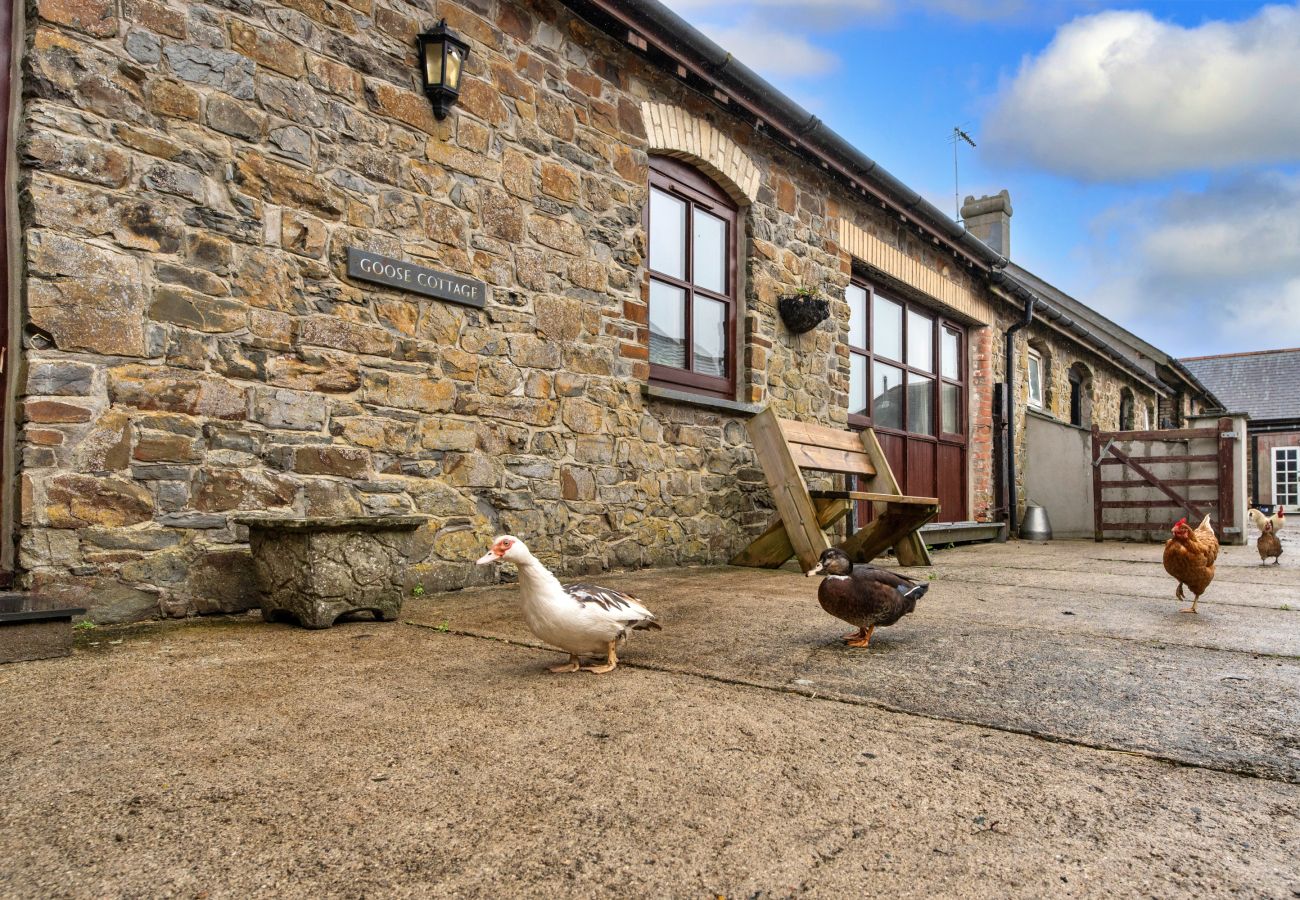 Landhaus in Widemouth Bay - Goose, Quinceborough Farm