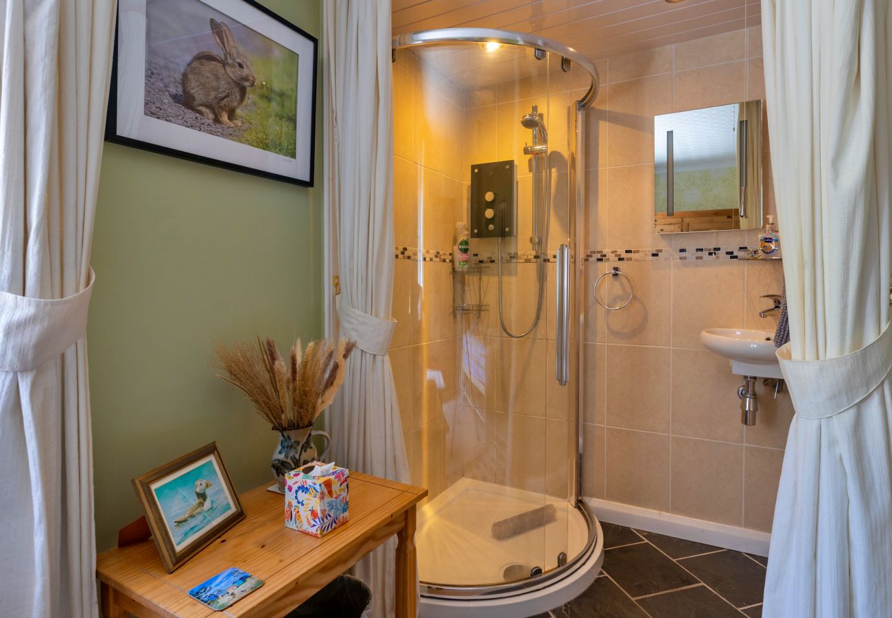 Landhaus in Conwy - Wern Cottage