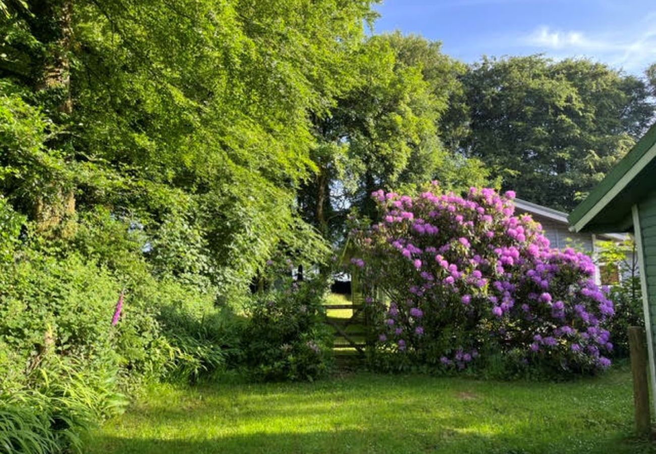 Chalet in Bradworthy - Brockwood