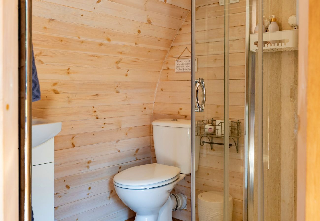 Blockhütte in St Asaph - Idris Pod