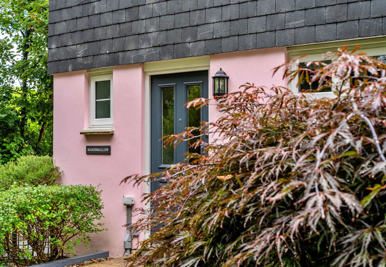 Ferienhaus in Duporth - Marshmallow House