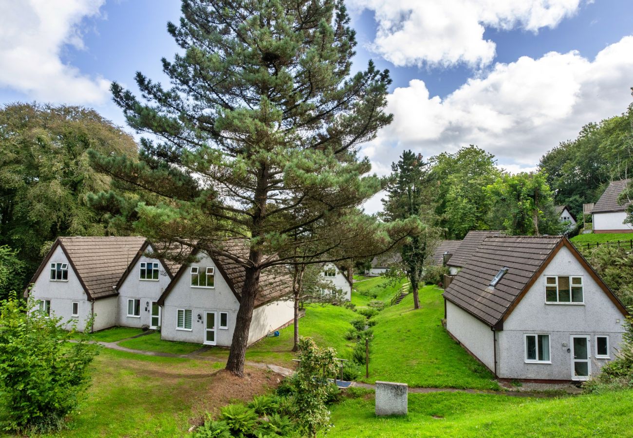 Chalet in Callington - Daisy Valley Lodge